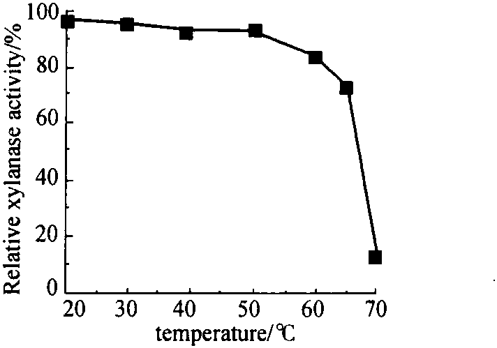 11 Enzymatic Properties of Xylanase Produced by Submerged Cultivation of Trichoderma Trichoderma Koningii